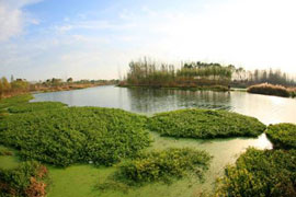 深圳海川环境诚招全国代理商公告----饮用水紫外设备及市场